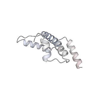 17226_8ow0_a_v1-0
Cryo-EM structure of CBF1-CCAN bound topologically to a centromeric CENP-A nucleosome