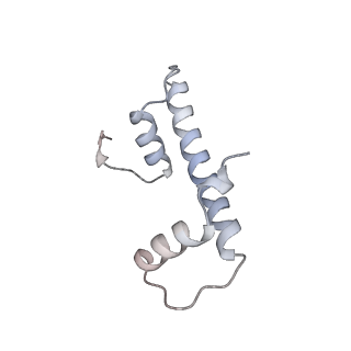 17226_8ow0_f_v1-0
Cryo-EM structure of CBF1-CCAN bound topologically to a centromeric CENP-A nucleosome