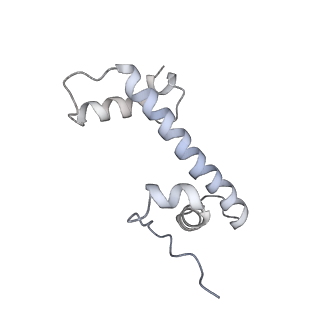 17226_8ow0_g_v1-0
Cryo-EM structure of CBF1-CCAN bound topologically to a centromeric CENP-A nucleosome
