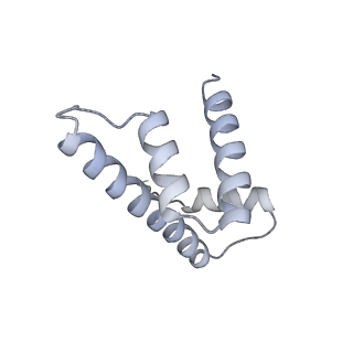 17226_8ow0_h_v1-0
Cryo-EM structure of CBF1-CCAN bound topologically to a centromeric CENP-A nucleosome