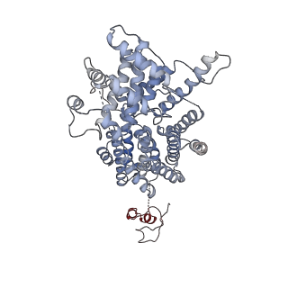 17227_8ow1_CE_v1-0
Cryo-EM structure of the yeast Inner kinetochore bound to a CENP-A nucleosome.
