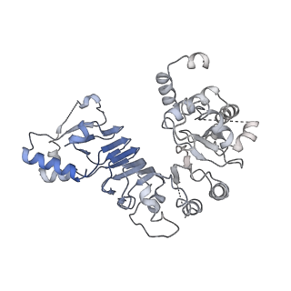 17227_8ow1_CT_v1-0
Cryo-EM structure of the yeast Inner kinetochore bound to a CENP-A nucleosome.