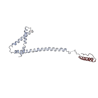 17227_8ow1_HH_v1-0
Cryo-EM structure of the yeast Inner kinetochore bound to a CENP-A nucleosome.