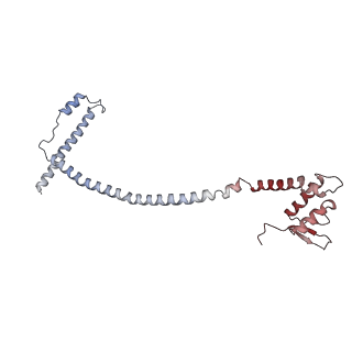 17227_8ow1_KK_v1-0
Cryo-EM structure of the yeast Inner kinetochore bound to a CENP-A nucleosome.