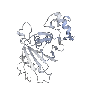 17227_8ow1_L_v1-0
Cryo-EM structure of the yeast Inner kinetochore bound to a CENP-A nucleosome.