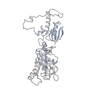 17227_8ow1_NN_v1-0
Cryo-EM structure of the yeast Inner kinetochore bound to a CENP-A nucleosome.