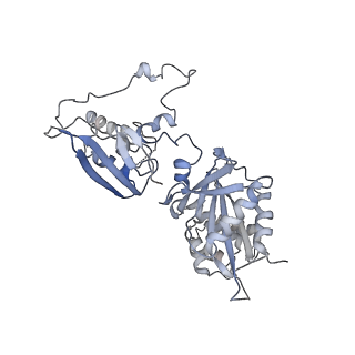 17227_8ow1_N_v1-0
Cryo-EM structure of the yeast Inner kinetochore bound to a CENP-A nucleosome.