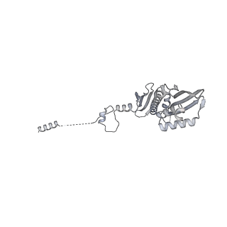 17227_8ow1_P_v1-0
Cryo-EM structure of the yeast Inner kinetochore bound to a CENP-A nucleosome.