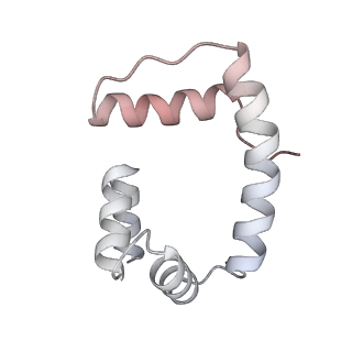 17227_8ow1_T_v1-0
Cryo-EM structure of the yeast Inner kinetochore bound to a CENP-A nucleosome.