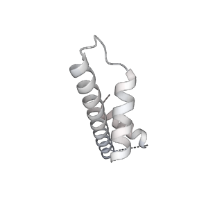 17227_8ow1_W_v1-0
Cryo-EM structure of the yeast Inner kinetochore bound to a CENP-A nucleosome.
