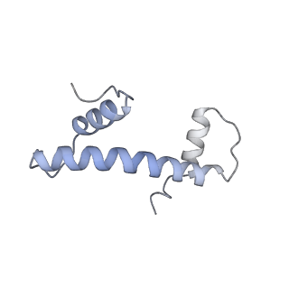 17227_8ow1_b_v1-0
Cryo-EM structure of the yeast Inner kinetochore bound to a CENP-A nucleosome.
