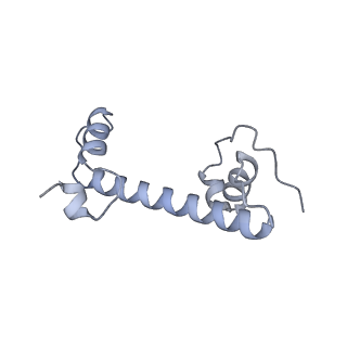 17227_8ow1_c_v1-0
Cryo-EM structure of the yeast Inner kinetochore bound to a CENP-A nucleosome.