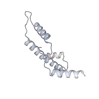 17227_8ow1_e_v1-0
Cryo-EM structure of the yeast Inner kinetochore bound to a CENP-A nucleosome.