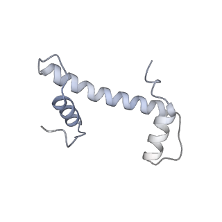 17227_8ow1_f_v1-0
Cryo-EM structure of the yeast Inner kinetochore bound to a CENP-A nucleosome.