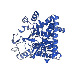 17240_8own_B_v1-0
CryoEM structure of glutamate dehydrogenase isoform 2 from Arabidopsis thaliana in apo-form