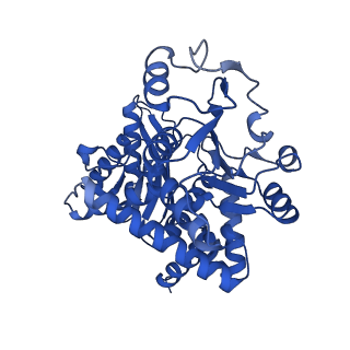 17240_8own_C_v1-0
CryoEM structure of glutamate dehydrogenase isoform 2 from Arabidopsis thaliana in apo-form
