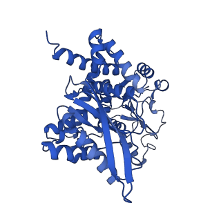 17240_8own_F_v1-0
CryoEM structure of glutamate dehydrogenase isoform 2 from Arabidopsis thaliana in apo-form