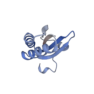 20207_6owg_0_v1-2
Structure of a synthetic beta-carboxysome shell, T=4