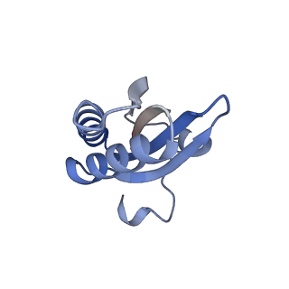 20207_6owg_0_v1-3
Structure of a synthetic beta-carboxysome shell, T=4