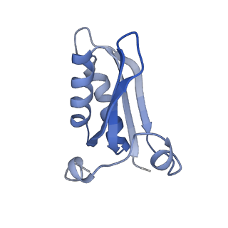 20207_6owg_2_v1-2
Structure of a synthetic beta-carboxysome shell, T=4