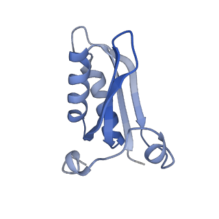 20207_6owg_2_v1-3
Structure of a synthetic beta-carboxysome shell, T=4