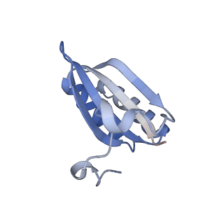 20207_6owg_3_v1-2
Structure of a synthetic beta-carboxysome shell, T=4