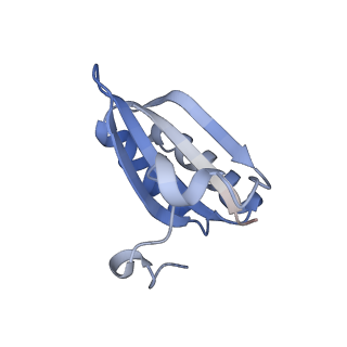 20207_6owg_3_v1-3
Structure of a synthetic beta-carboxysome shell, T=4