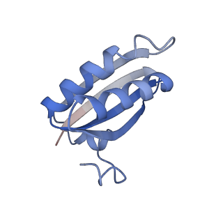 20207_6owg_4_v1-3
Structure of a synthetic beta-carboxysome shell, T=4