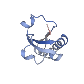 20207_6owg_6_v1-2
Structure of a synthetic beta-carboxysome shell, T=4