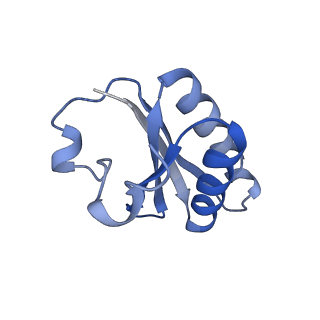 20207_6owg_7_v1-2
Structure of a synthetic beta-carboxysome shell, T=4