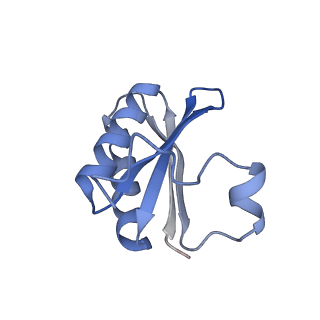 20207_6owg_8_v1-2
Structure of a synthetic beta-carboxysome shell, T=4