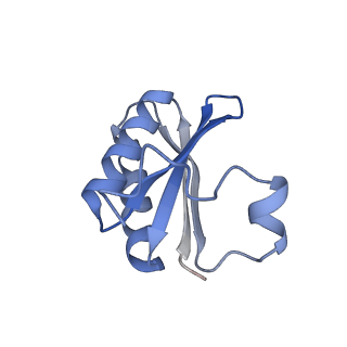 20207_6owg_8_v1-3
Structure of a synthetic beta-carboxysome shell, T=4