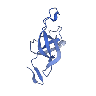 20207_6owg_9_v1-2
Structure of a synthetic beta-carboxysome shell, T=4