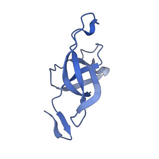 20207_6owg_9_v1-3
Structure of a synthetic beta-carboxysome shell, T=4