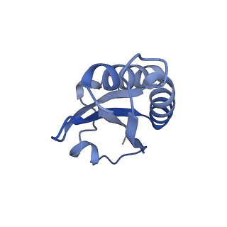 20207_6owg_A0_v1-3
Structure of a synthetic beta-carboxysome shell, T=4