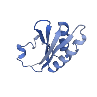 20207_6owg_A1_v1-2
Structure of a synthetic beta-carboxysome shell, T=4