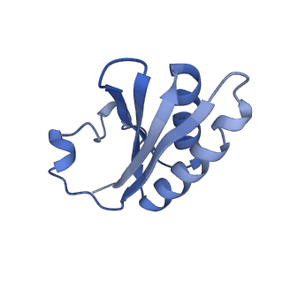 20207_6owg_A1_v1-3
Structure of a synthetic beta-carboxysome shell, T=4