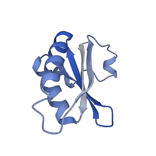 20207_6owg_A2_v1-2
Structure of a synthetic beta-carboxysome shell, T=4