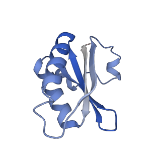 20207_6owg_A2_v1-3
Structure of a synthetic beta-carboxysome shell, T=4