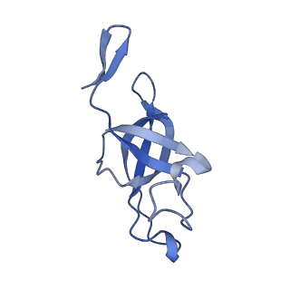 20207_6owg_A3_v1-2
Structure of a synthetic beta-carboxysome shell, T=4