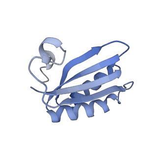 20207_6owg_A4_v1-2
Structure of a synthetic beta-carboxysome shell, T=4