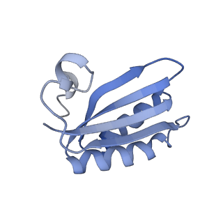 20207_6owg_A4_v1-3
Structure of a synthetic beta-carboxysome shell, T=4