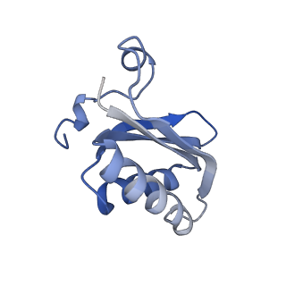 20207_6owg_A5_v1-2
Structure of a synthetic beta-carboxysome shell, T=4