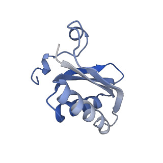 20207_6owg_A5_v1-3
Structure of a synthetic beta-carboxysome shell, T=4