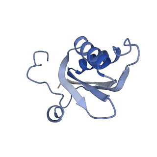 20207_6owg_A6_v1-3
Structure of a synthetic beta-carboxysome shell, T=4