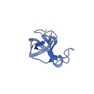 20207_6owg_A7_v1-2
Structure of a synthetic beta-carboxysome shell, T=4