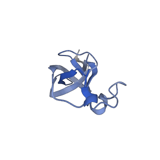 20207_6owg_A7_v1-3
Structure of a synthetic beta-carboxysome shell, T=4