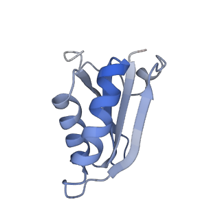20207_6owg_A8_v1-2
Structure of a synthetic beta-carboxysome shell, T=4