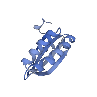 20207_6owg_A9_v1-2
Structure of a synthetic beta-carboxysome shell, T=4