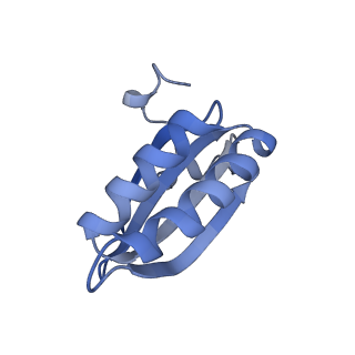 20207_6owg_A9_v1-3
Structure of a synthetic beta-carboxysome shell, T=4